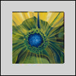 Avalonian Sunflower